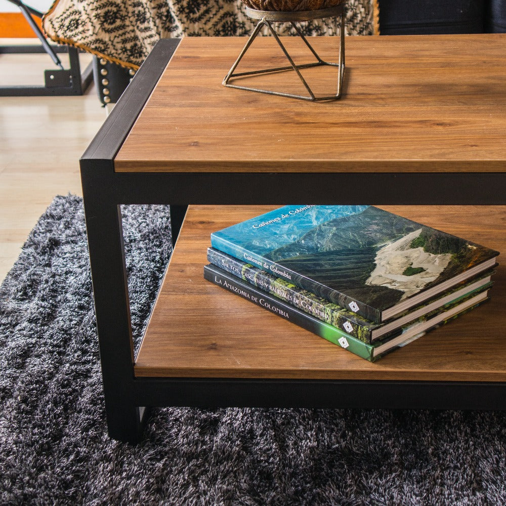 Mesa de Centro en Hierro y Madera DAKOTA